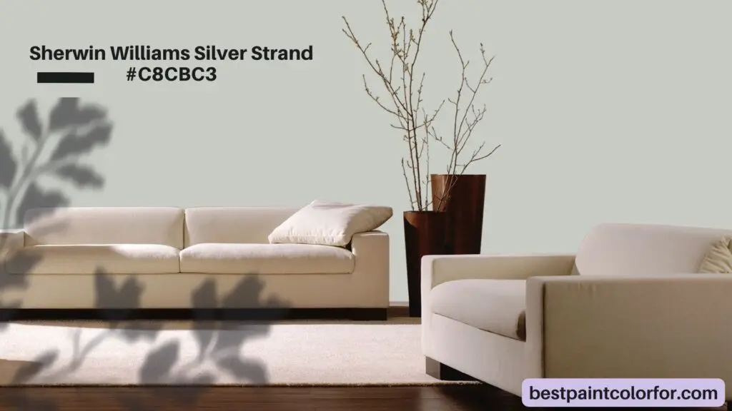 Sherwin Williams Silver Strand