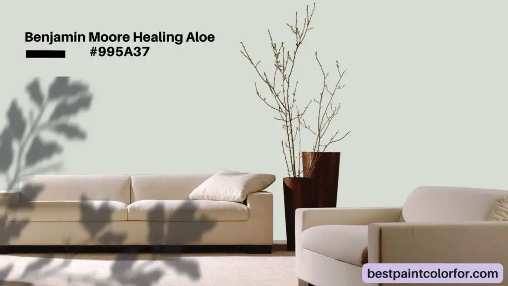 Benjamin Moore Healing Aloe