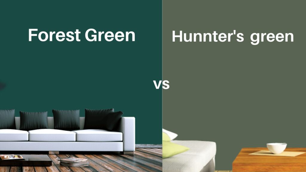 Forest Green vs Hunter Green