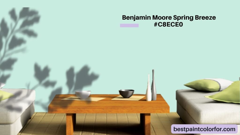 Benjamin Moore Spring Breeze - Classic Mint