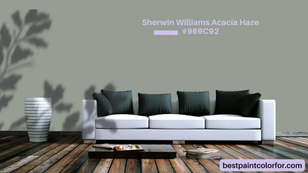 Sherwin Williams Acacia Haze