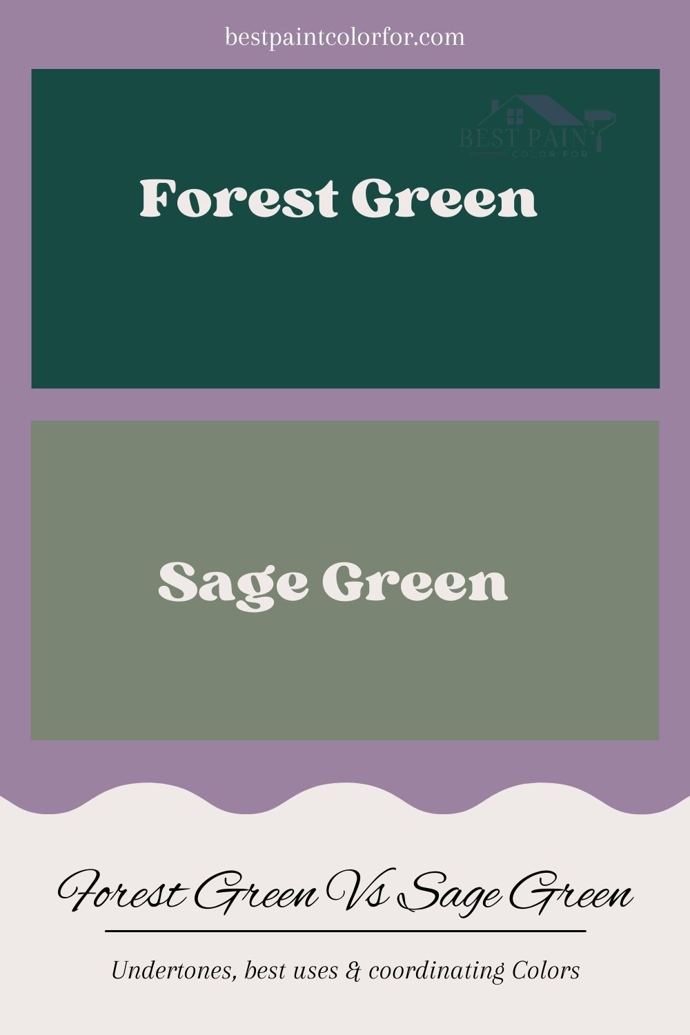 Forest Green Vs Sage Green The Difference Color Review Best Paint