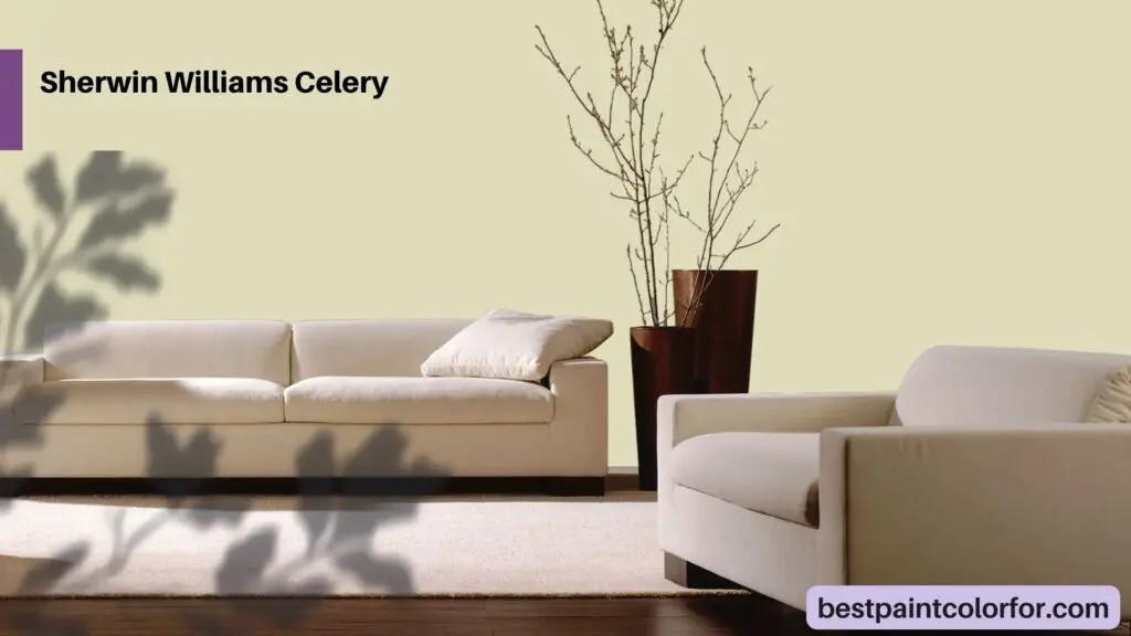 Sherwin Williams Celery