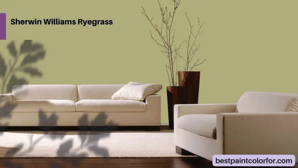 Sherwin Williams Ryegrass