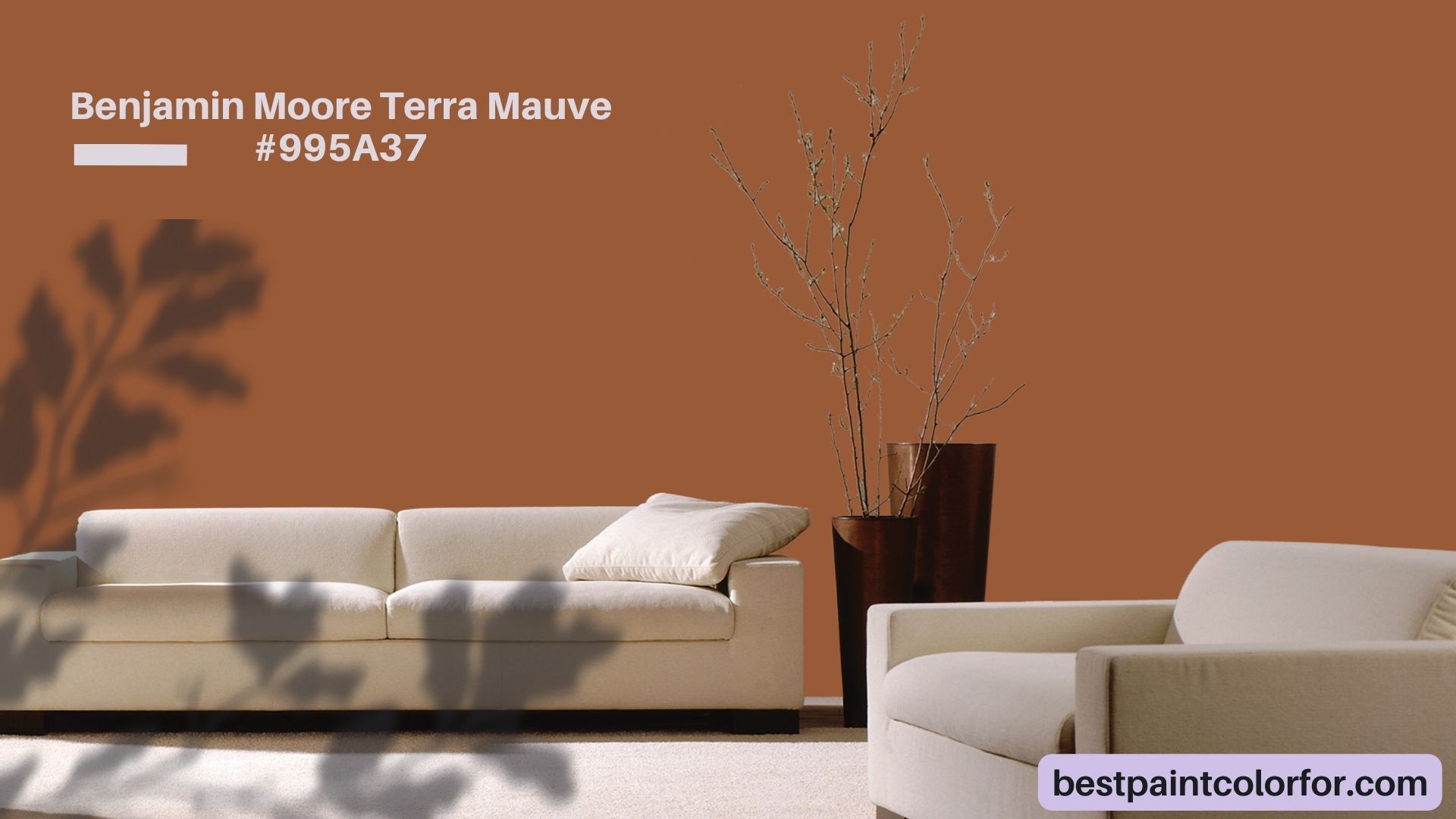 29+ of The Best Terra Cotta Paint Colors in 2023 Best Paint Color For