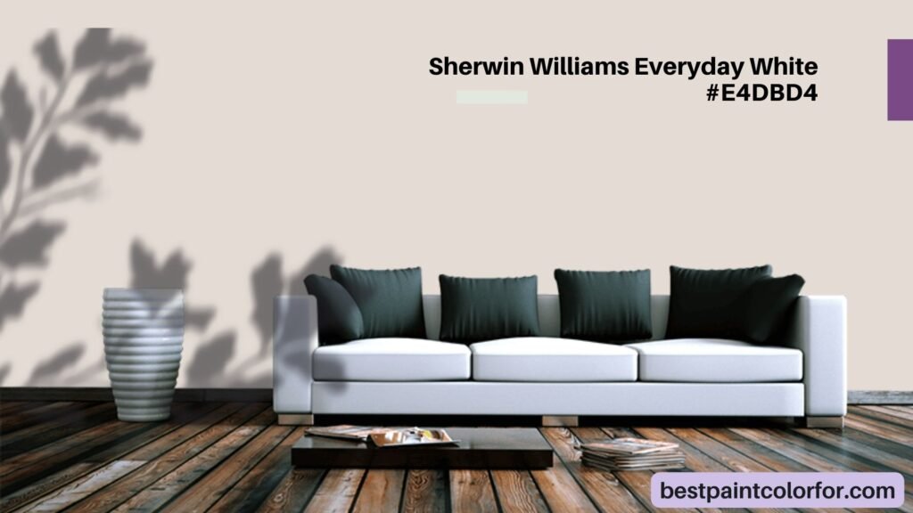 Sherwin Williams Everyday White