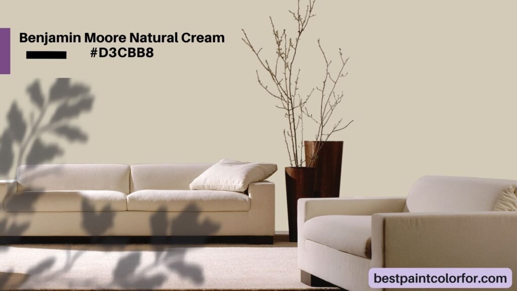Benjamin Moore Natural Cream