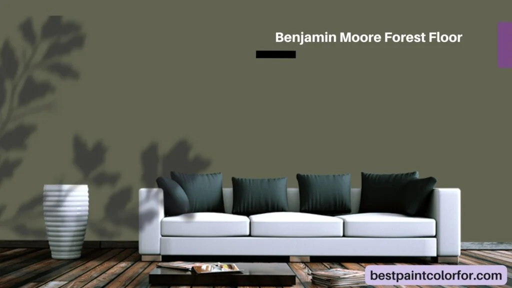 Benjamin Moore Forest Floor