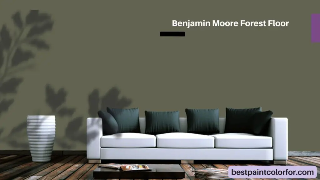 Benjamin Moore Forest Floor