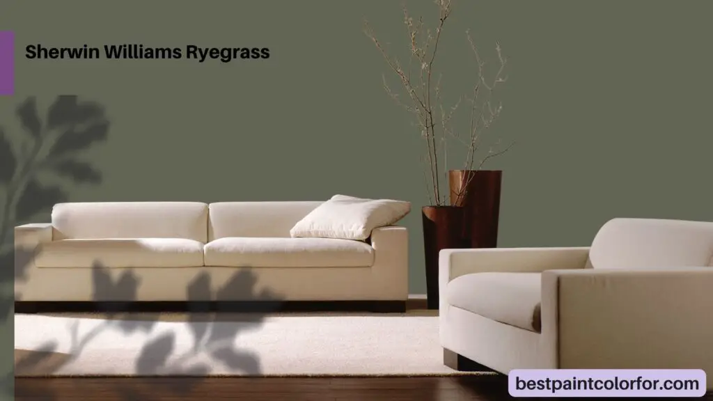 Sherwin Williams Ryegrass