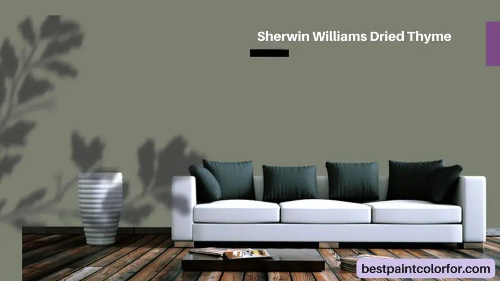 Sherwin Williams Dried Thyme