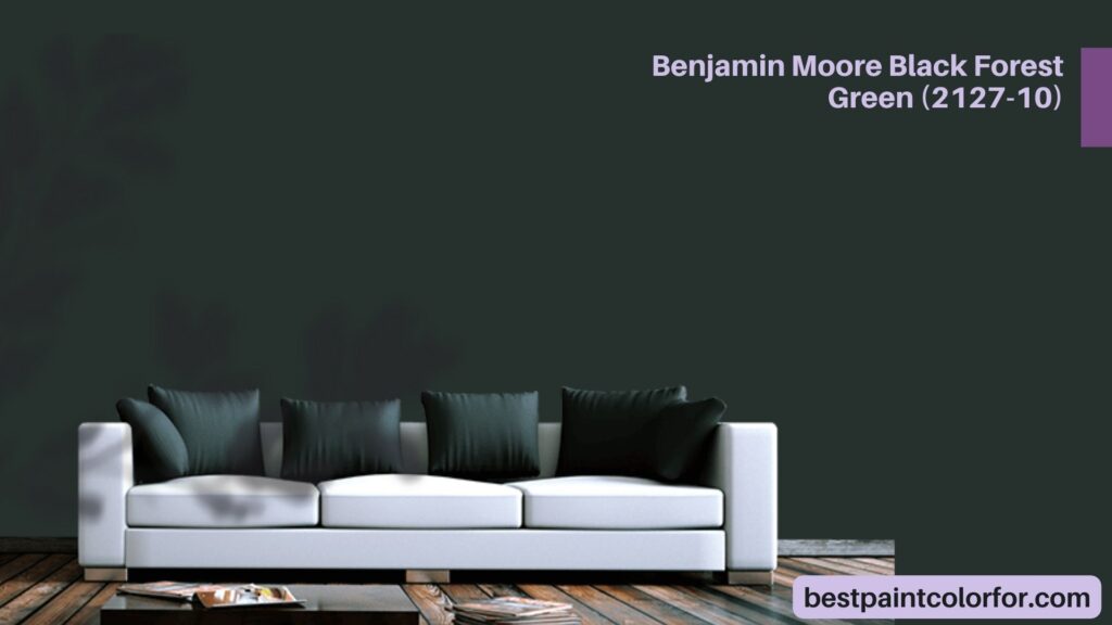 Benjamin Moore Black Forest Green (2127-10)