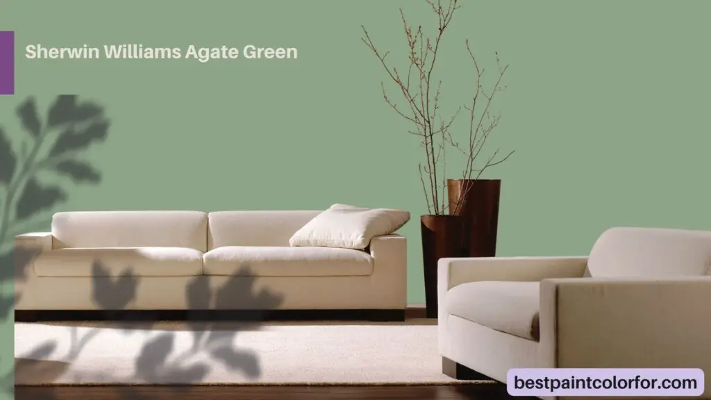 Sherwin Williams Agate Green