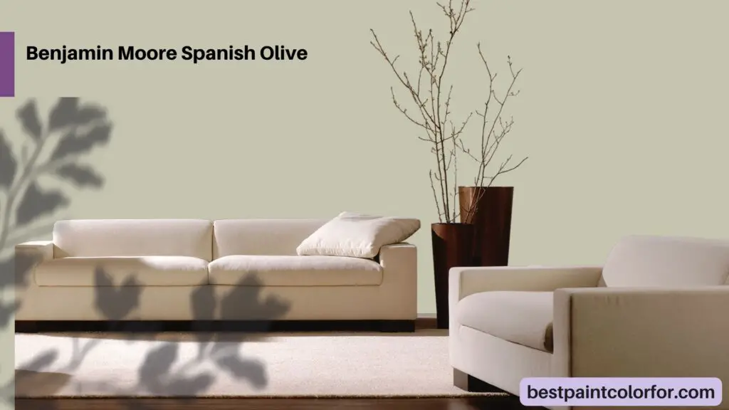 Benjamin Moore Spanish Olive