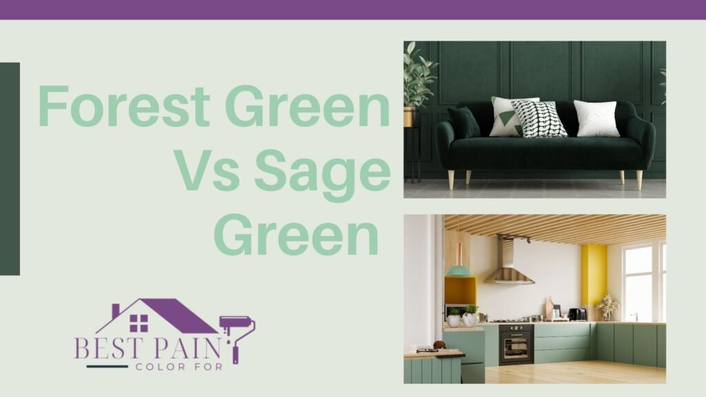 Forest Green Vs Sage Green