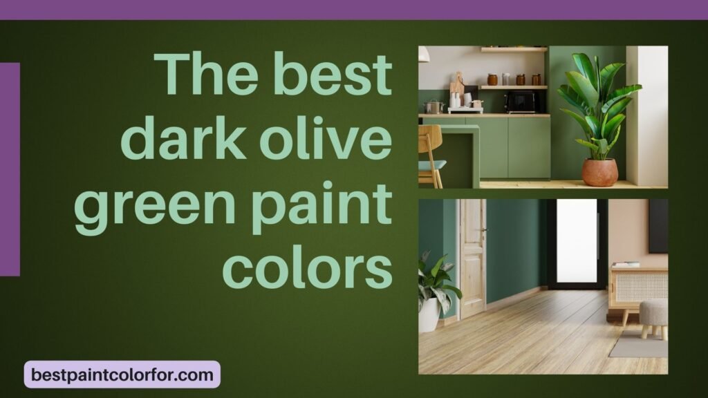 The best dark olive green paint colors