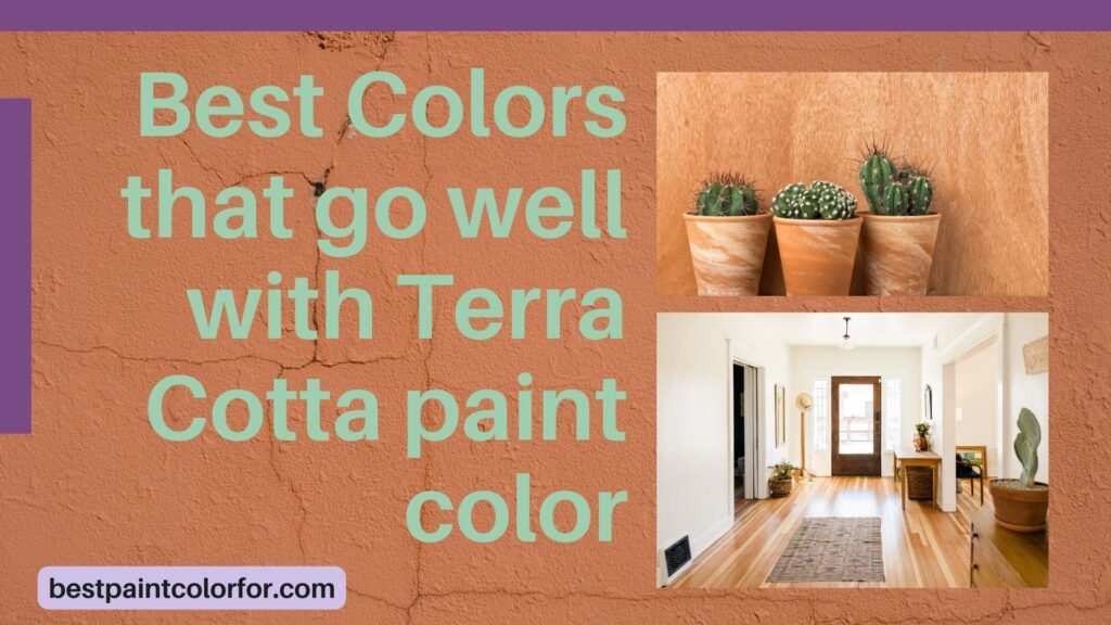 What is terra cotta paint color?