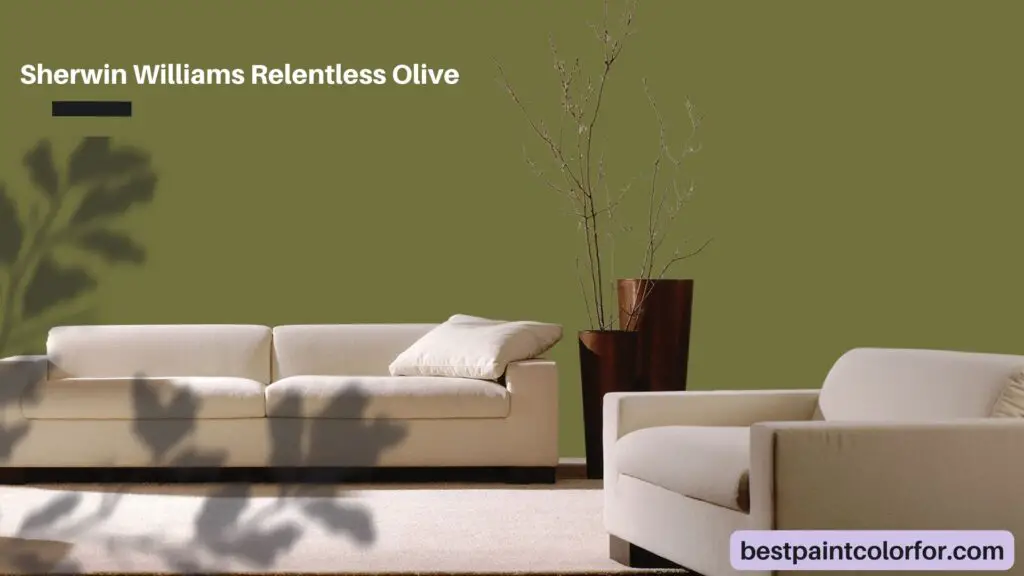 Sherwin Williams Relentless Olive