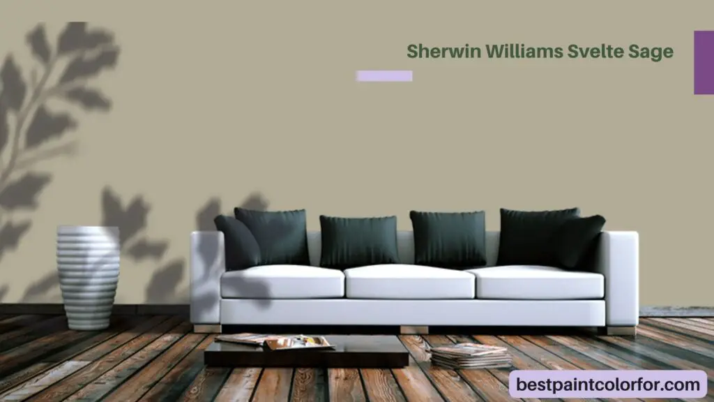 Sherwin Williams Svelte Sage: