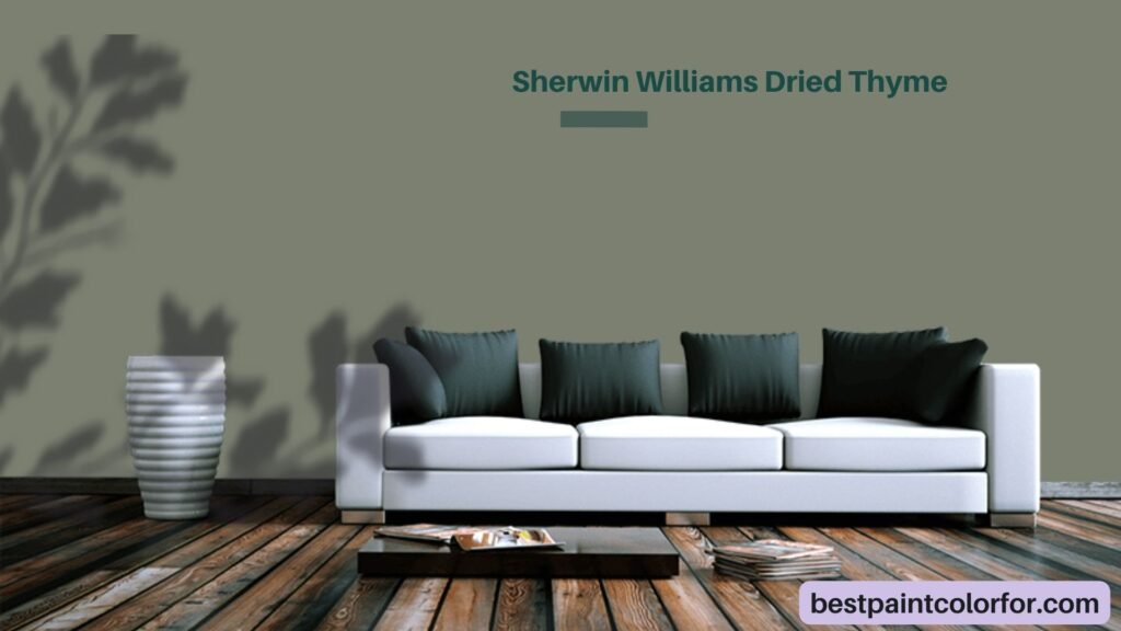 Sherwin Williams Dried Thyme