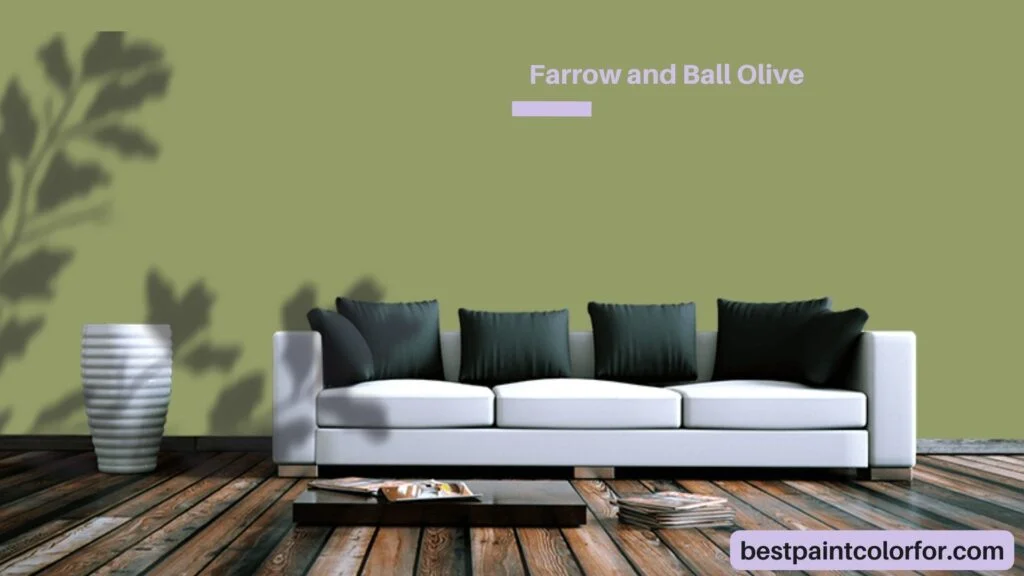 Farrow and Ball Olive