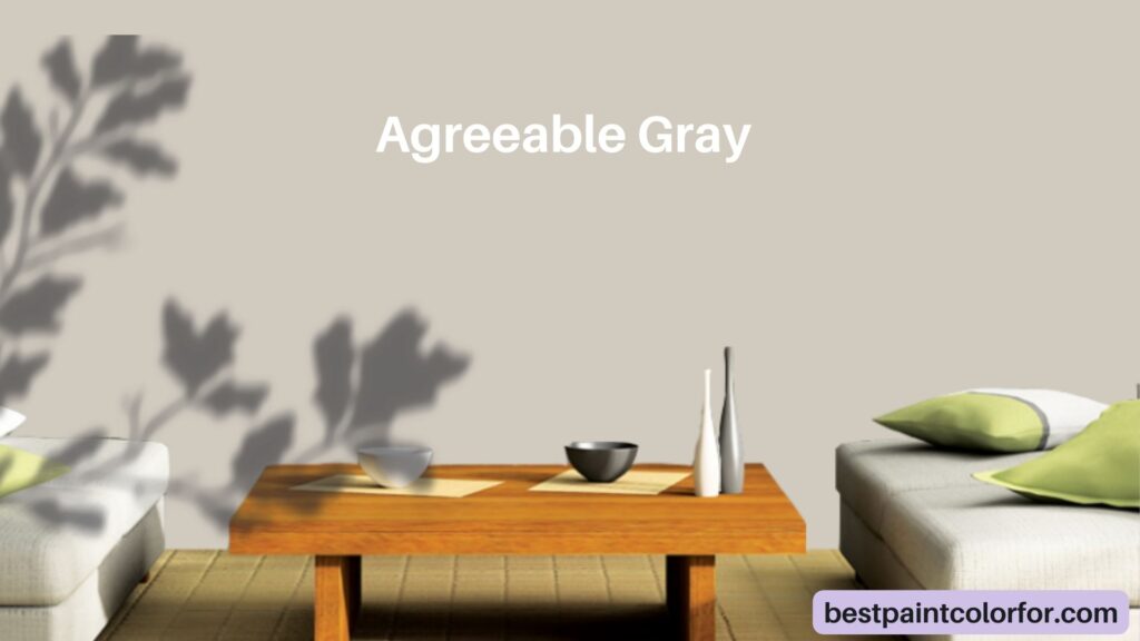 Agreeable Gray