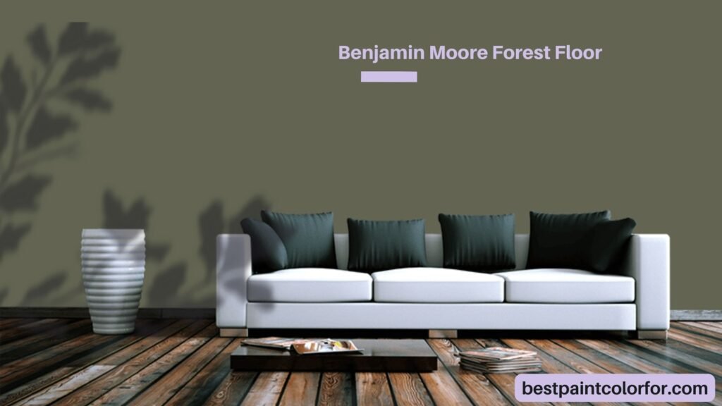 Benjamin Moore Forest Floor