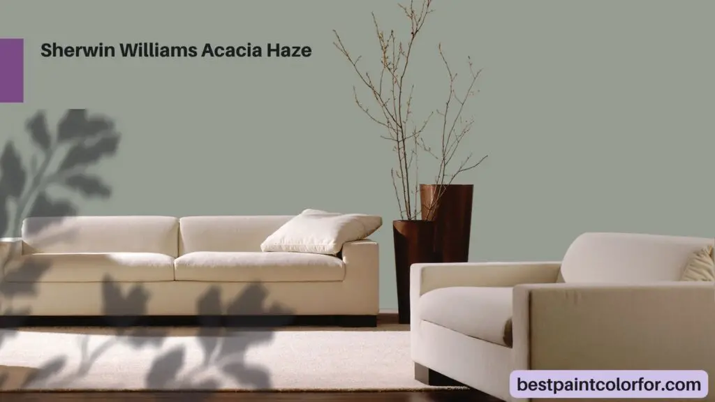 Sherwin Williams Acacia Haze: