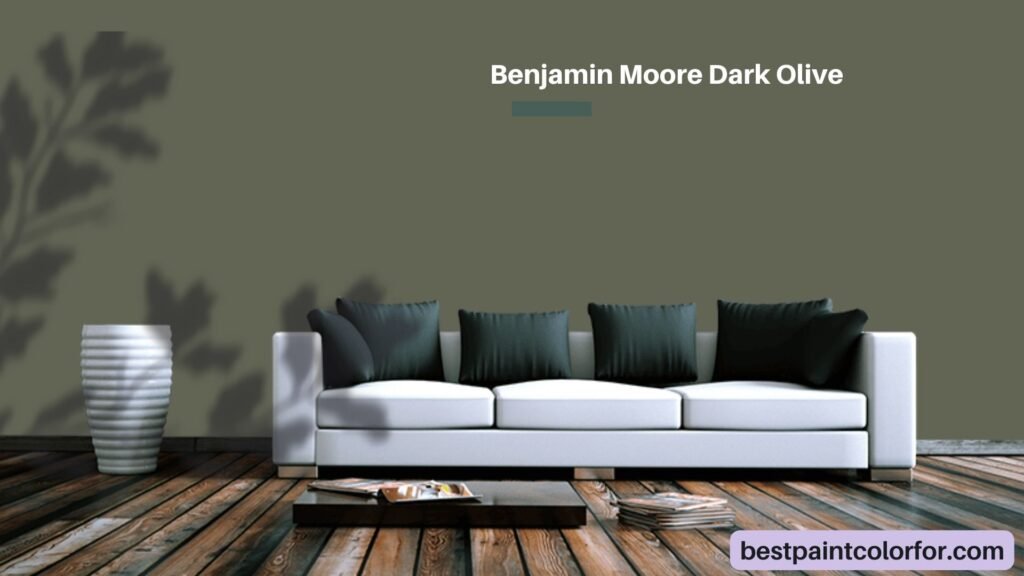 Benjamin Moore Dark Olive