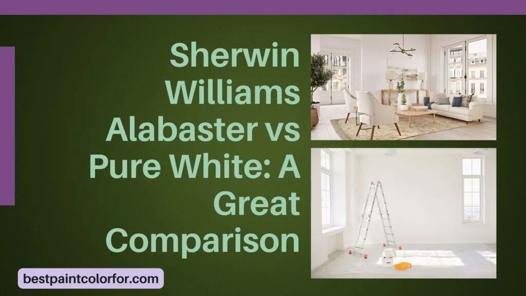 Sherwin Williams Alabaster vs Pure White