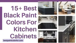 15+ Best Black Paint Colors For Kitchen Cabinets in 2023 - Best Paint Color  For