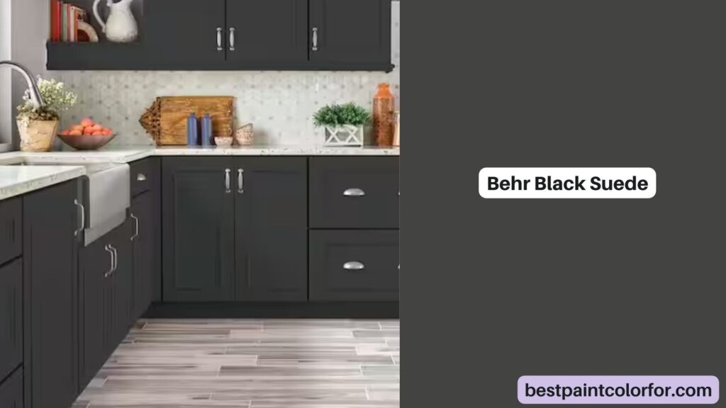 Behr Black Suede