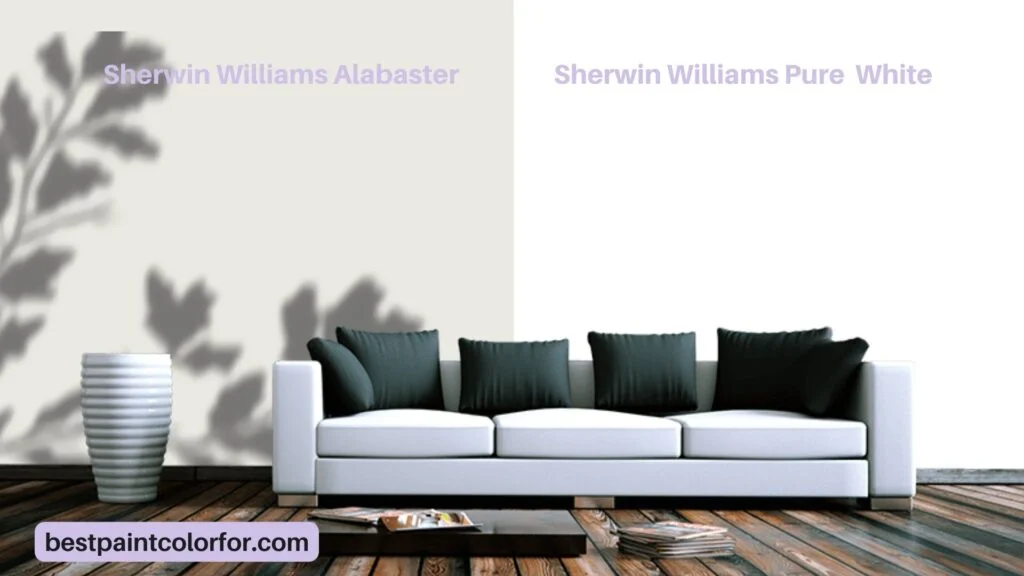 Differences between Sherwin Williams Alabaster vs Pure