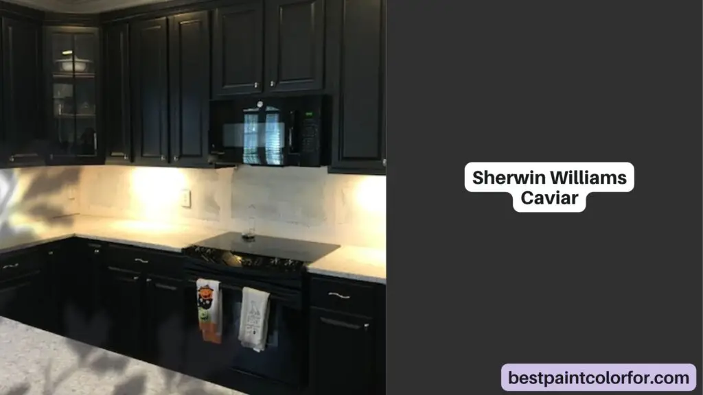 Sherwin Williams Caviar