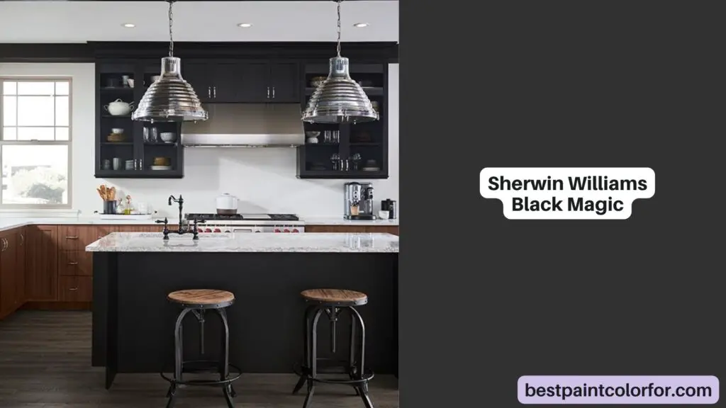 Sherwin Williams Black Magic