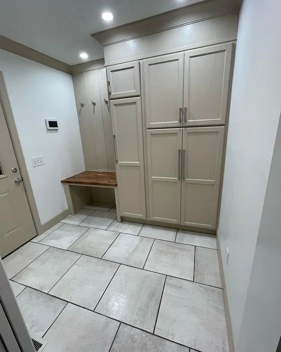 Sherwin Williams Malabar SW 9110 paint color