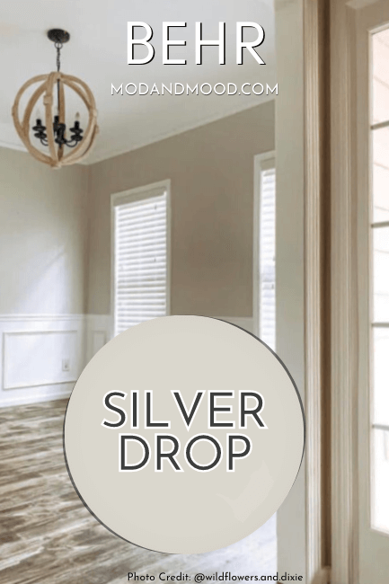 Behr Silver Drop Can\